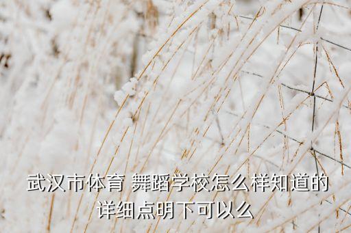  武汉市体育 舞蹈学校怎么样知道的详细点明下可以么