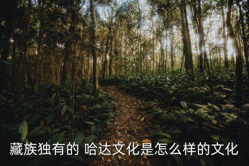 多彩哈达民族舞蹈