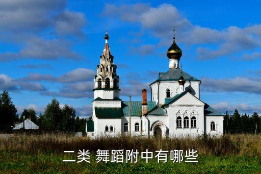 深圳艺术舞蹈学院,深圳四季艺术舞蹈机构怎么样
