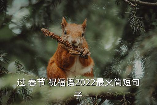 过 春节 祝福语2022最火简短句子