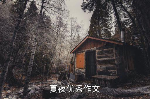 夏夜优秀作文
