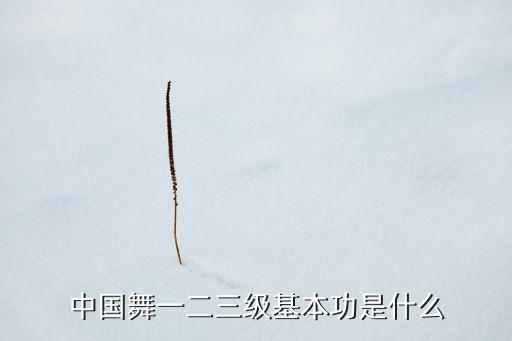 中国舞一二三级基本功是什么