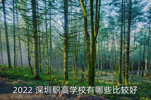 2022 深圳职高学校有哪些比较好