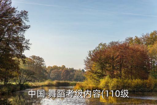 中国 舞蹈考级内容(110级