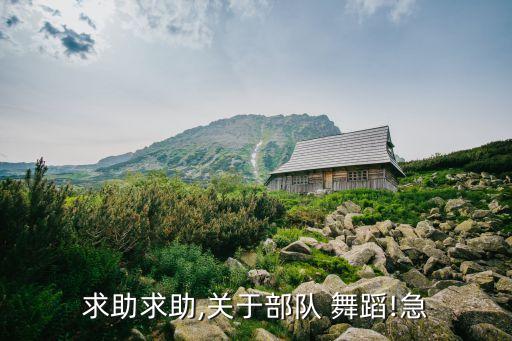 求助求助,关于部队 舞蹈!急