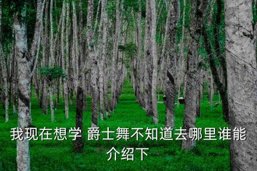 南山爵士舞舞蹈培训,广东东莞爵士舞舞蹈培训哪里好