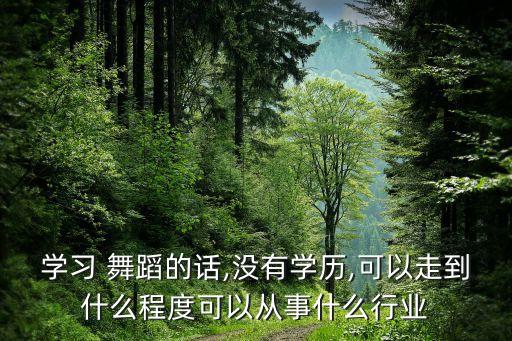 学习 舞蹈的话,没有学历,可以走到什么程度可以从事什么行业