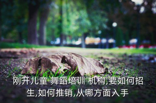 刚开儿童 舞蹈培训 机构,要如何招生,如何推销,从哪方面入手