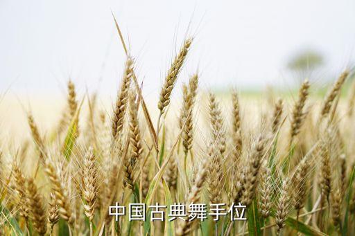 中国古典舞手位