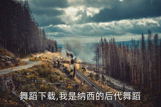 舞蹈下载,我是纳西的后代舞蹈