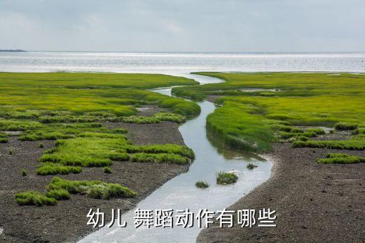 幼儿 舞蹈动作有哪些