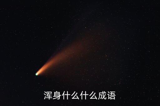 浑身什么什么成语