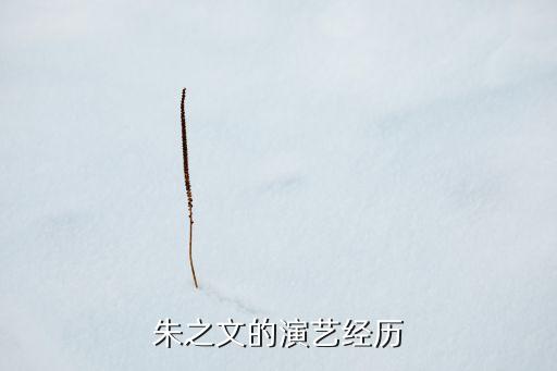 朱之文的演艺经历