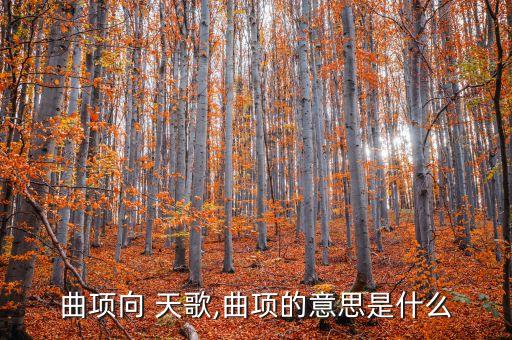 曲项向 天歌,曲项的意思是什么