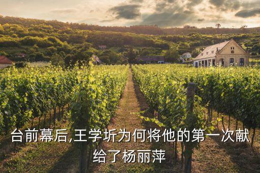 台前幕后,王学圻为何将他的第一次献给了杨丽萍