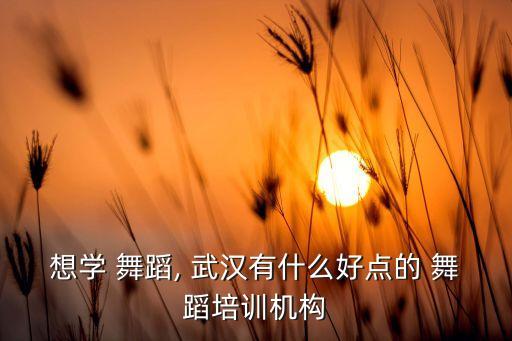 想学 舞蹈, 武汉有什么好点的 舞蹈培训机构