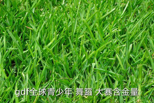 gdf全球青少年 舞蹈 大赛含金量