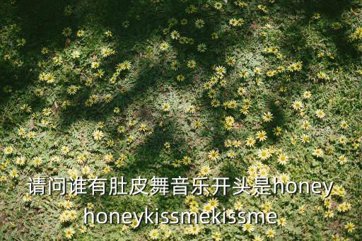 请问谁有肚皮舞音乐开头是honeyhoneykissmekissme