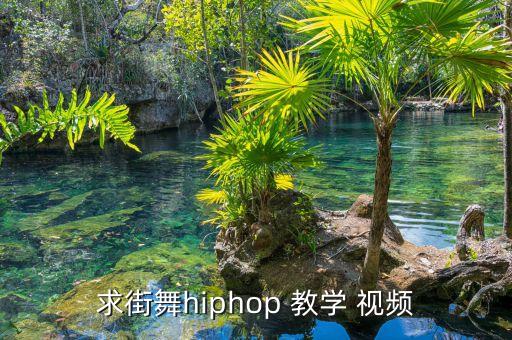 求街舞hiphop 教学 视频