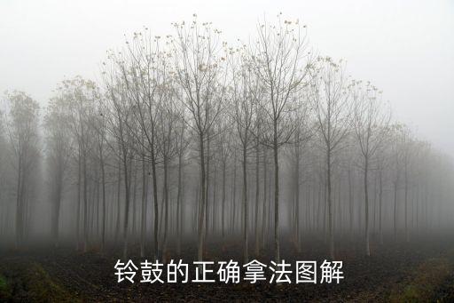  铃鼓的正确拿法图解