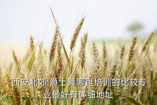 西安北郊 爵士舞哪里培训的比较专业最好有详细地址