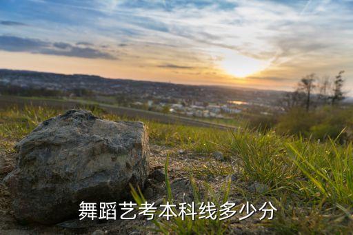 2015体育舞蹈分数线,山东师范大学体育舞蹈专业分数线