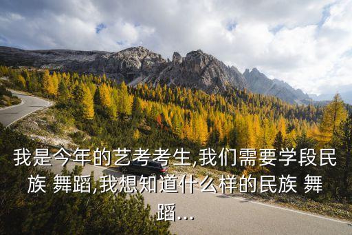 我是今年的艺考考生,我们需要学段民族 舞蹈,我想知道什么样的民族 舞蹈...