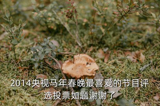 2014央视马年春晚最喜爱的节目评选投票如题谢谢了