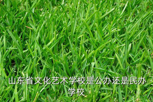  山东省文化艺术学校是公办还是民办学校