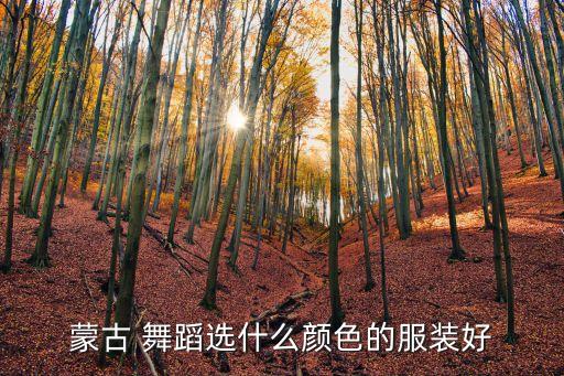 蒙古 舞蹈选什么颜色的服装好
