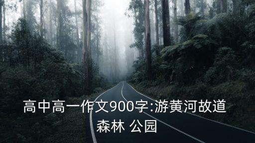 森林森林公园广场舞蹈,不知火舞蹈森林公园关键词