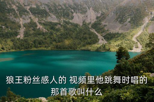 狼王粉丝感人的 视频里他跳舞时唱的那首歌叫什么