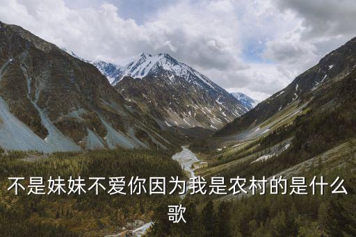 不是妹妹不爱你因为我是农村的是什么歌