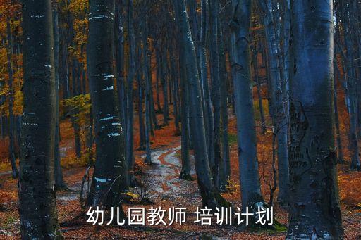 幼儿园教师 培训计划