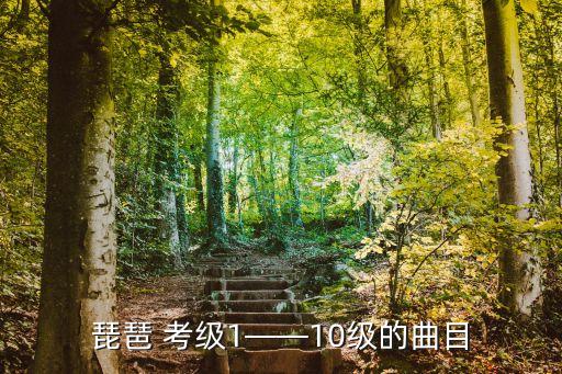 考级舞蹈一级所有音乐,舞蹈考级费用怎么收费标准2023