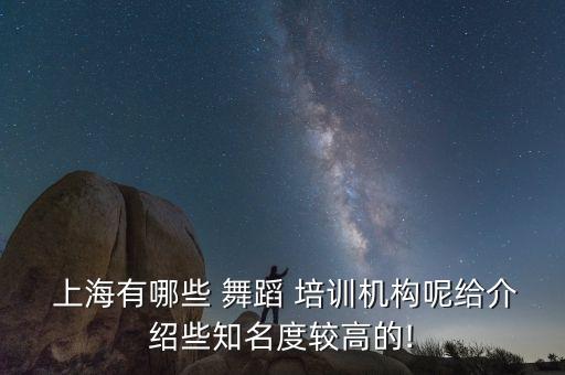  上海有哪些 舞蹈 培训机构呢给介绍些知名度较高的!