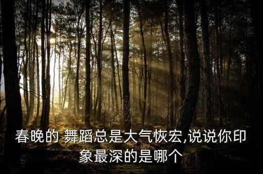 春晚的 舞蹈总是大气恢宏,说说你印象最深的是哪个