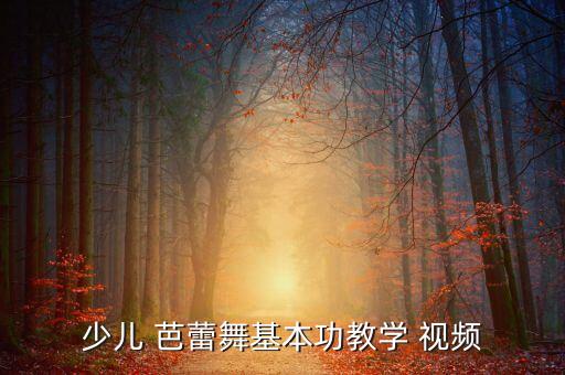 致青春芭蕾舞蹈视频下载