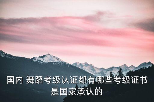 国内 舞蹈考级认证都有哪些考级证书是国家承认的