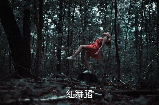 我最红舞蹈