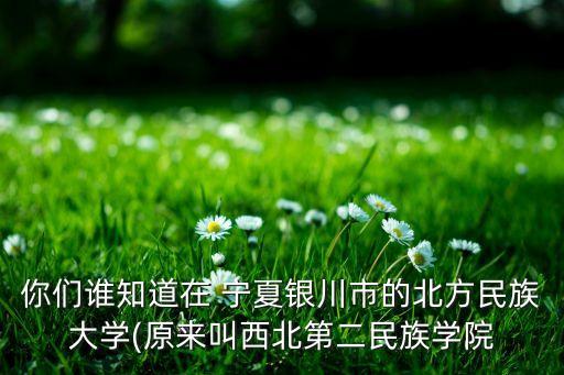 宁夏舞蹈教学,宁夏地方特色舞蹈