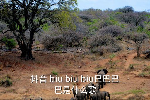 抖音 biu biu biu巴巴巴巴是什么歌