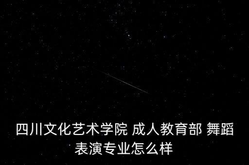 四川文化艺术学院 成人教育部 舞蹈表演专业怎么样