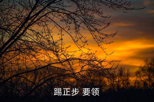 舞蹈前踢腿分解动作要领,舞蹈基本功踢腿的动作分解