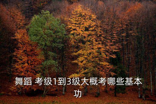 舞蹈 考级1到3级大概考哪些基本功