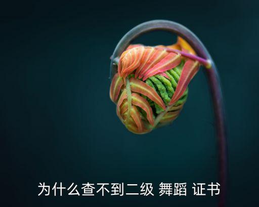 中国舞蹈协会证书查询入口