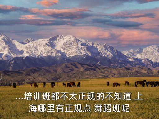 ...培训班都不太正规的不知道 上海哪里有正规点 舞蹈班呢