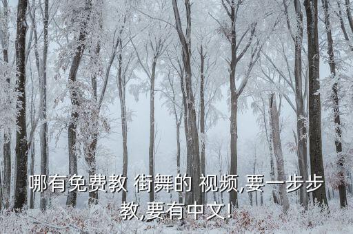 哪有免费教 街舞的 视频,要一步步教,要有中文!