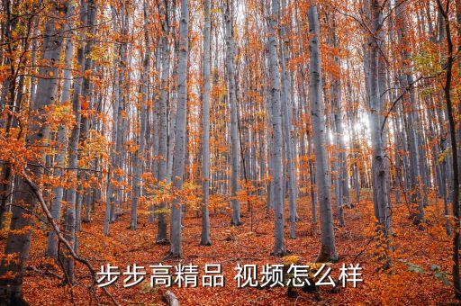 步步高精品 视频怎么样