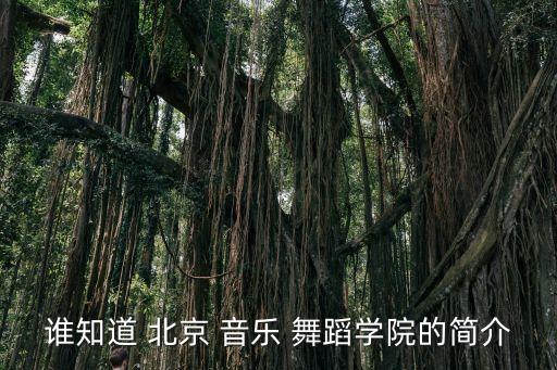 谁知道 北京 音乐 舞蹈学院的简介
